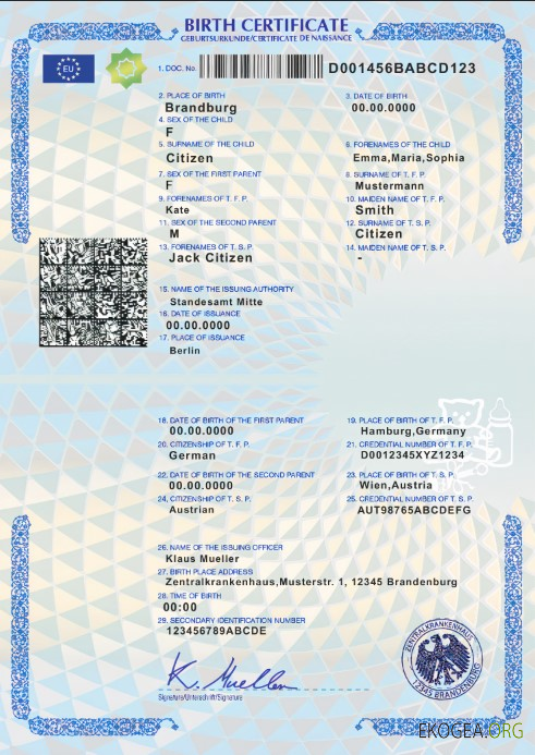 Modèle d'acte de naissance en Allemagne au format PSD